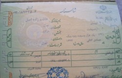 پوریا هاشم زاده اصل