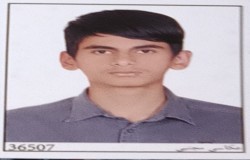 طاه مرزانی