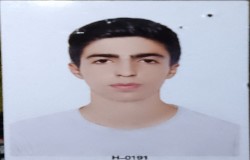 محمدحسین کرمی