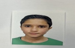 طاها شیخی