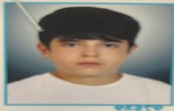 امیرعلی انیشه
