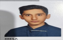 امیر محمد نوبهاری