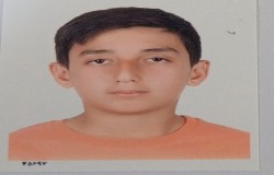 سیاوش شفائی صوفیانی