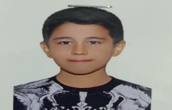علیرضا سیفی
