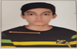 محمد حسین عرفانی مالداریان