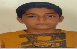 آرین کوشکی