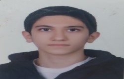 آرشام محمدی
