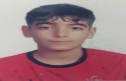 علی کریمی
