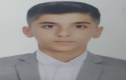 امیرحسن عمیدی