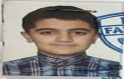 آرمین نادری