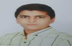 سیاوش محمدی کشه