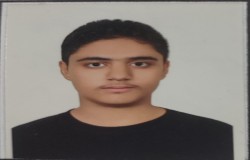 آریاز غنمی