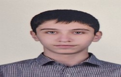 امیررضا حاجی پور
