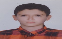 امیر مهدی طلوعی