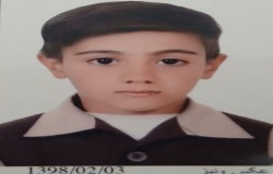 نریمان سنچولی
