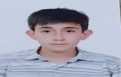 امیر مهدی چمن پیرا