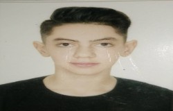 پارسا اکرمی