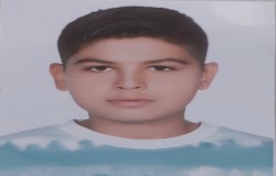 محمدمهدی کرمی