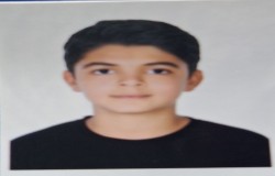 محمدحسین اوشلی