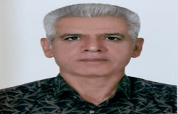 محمود کاهه