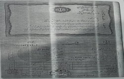 علی سام محمودی