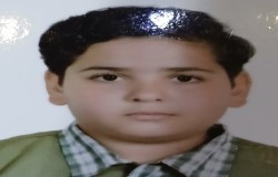 امیر محمد پارسا مهر