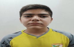 نیما برومند