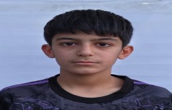 سیدامیرپارسا حسینی