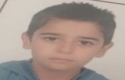 شایان حسن نژاد