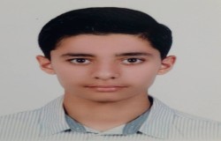 پارسا هادی مصلح