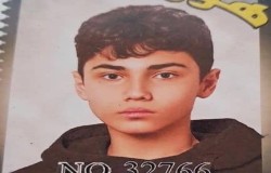 مارتیا هاشمی راد