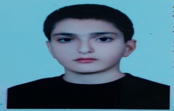 پارسا جمالی