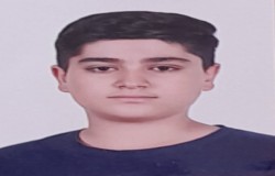 محمدحسام بختیاری