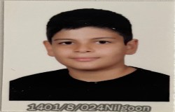 مانی کریمی رامشه
