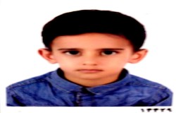 امیر مهدی میرزائی