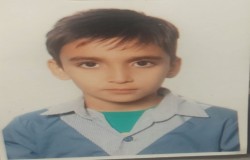 ایلیا جانی