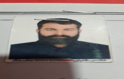 ارش محمدی