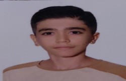 سید آرین موسویان