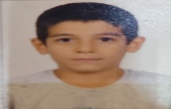 محمد علی پناه برخداونجانی