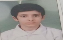 امیر عباس جاپلقی