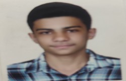 رضا شرف زاده