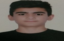 امیر ارشیا امینی