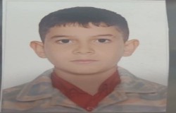رضا سبزی