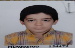 طاها مردانی