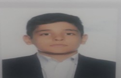 آرین فتحی