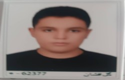 صدرا غلامی نیا