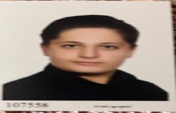 آرتین علی نقی زاده