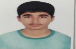 امیر محمد آرش