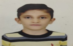 سید امیر علی موسوی قهرمانلو