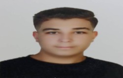 محمد حسام کریمی